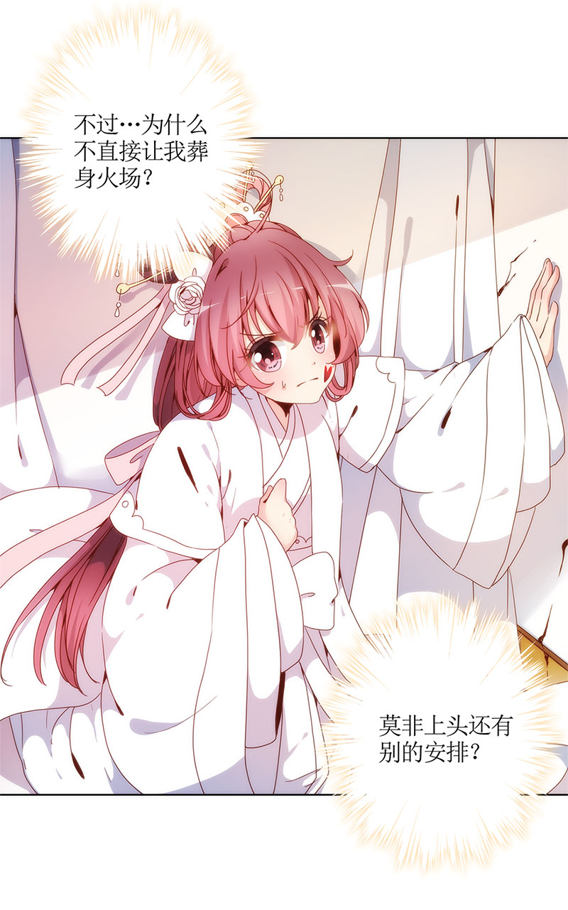 皇后娘娘的五毛特效-第二话